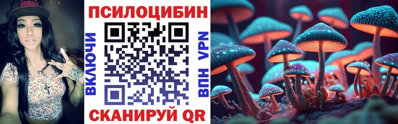 Псилоцибиновые грибы Psilocybe  Лангепас 